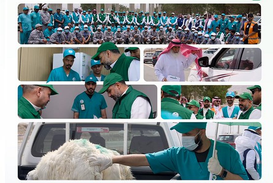 «وقاء» يرفع جاهزية الفرق الميدانية استعدادًا لموسم حج 1447هـ بمكة المكرمة 