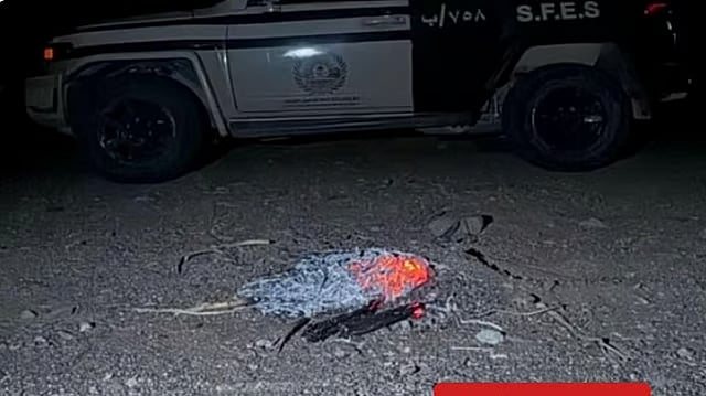 الأمن البيئي يضبط مواطنًا لإشعاله النار في غير الأماكن المخصصة لها بعسير