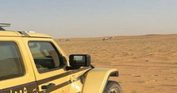 ضبط مواطن لارتكابه مخالفة رعي بمحمية الإمام عبدالعزيز الملكية