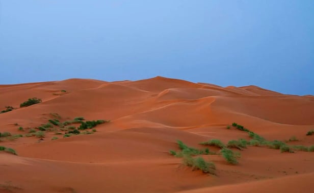 «النفود الكبير».. لوحة رملية ساحرة ترسم مشهدًا طبيعيًّا جنوب رفحاء 