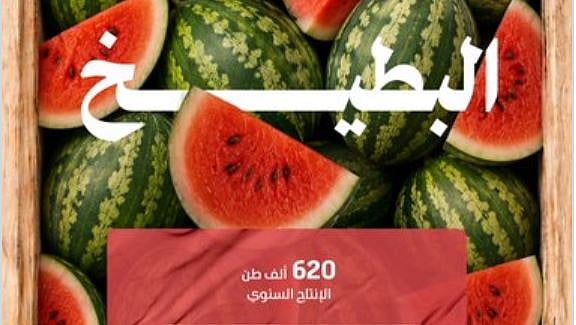 بإنتاج تجاوز 620 ألف طن.. البطيخ يشهد ذروة الإقبال في موسم الصيف 
