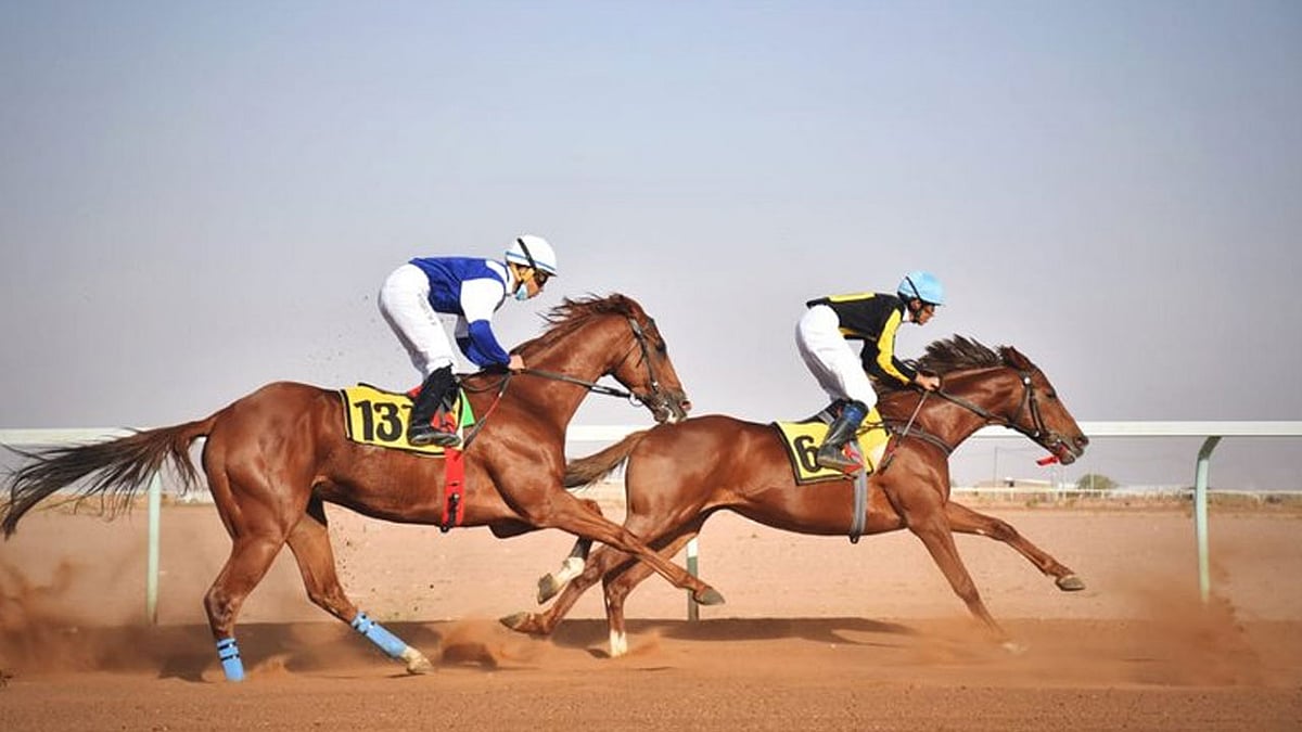 ميدان فروسية حائل ينظم اليوم حفل سباقه السادس 