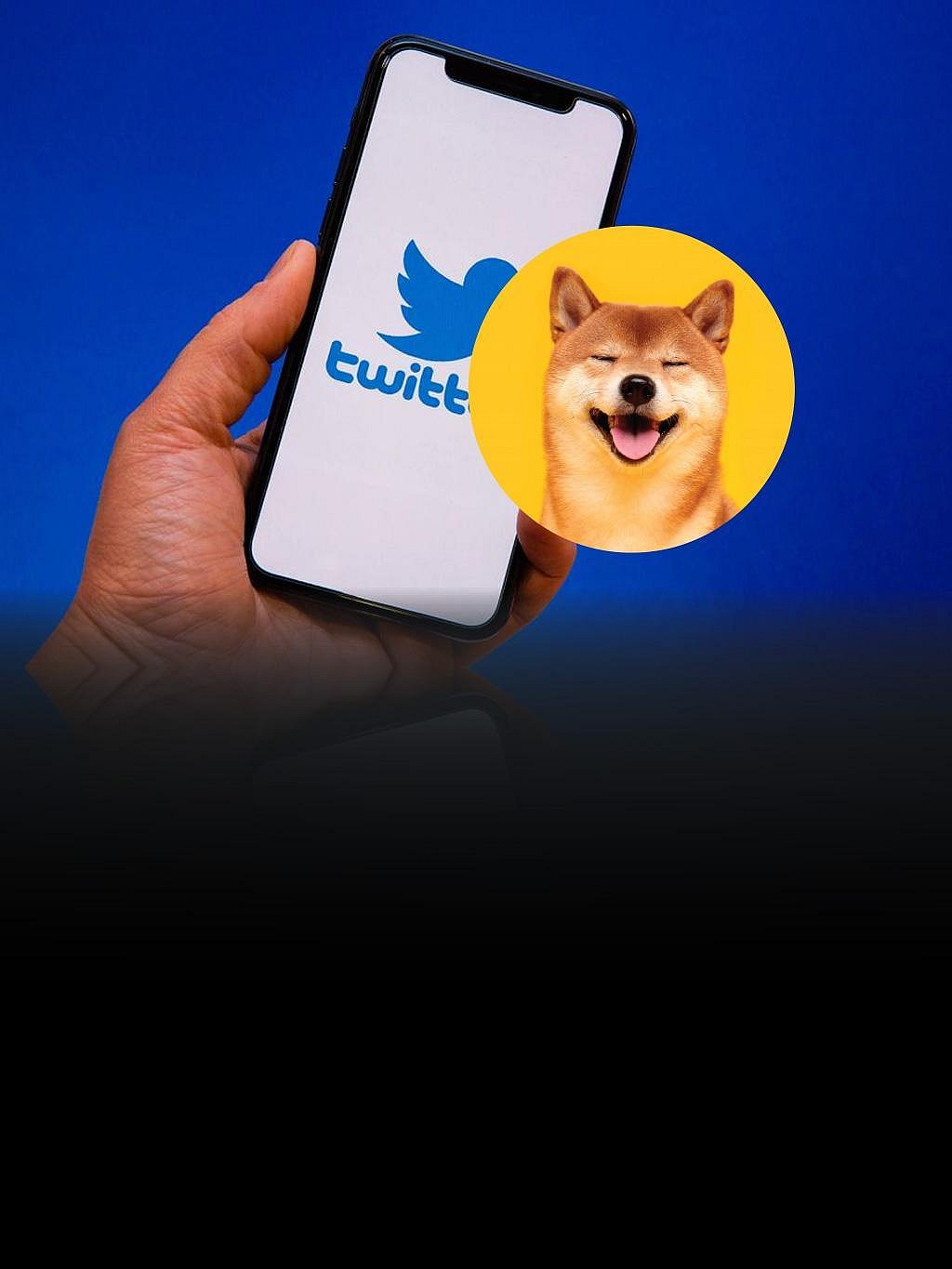 Shiba Inu has Already Surpassed Dogecoin by Number of Followers on Twitter,  Market Cap is NEXT!