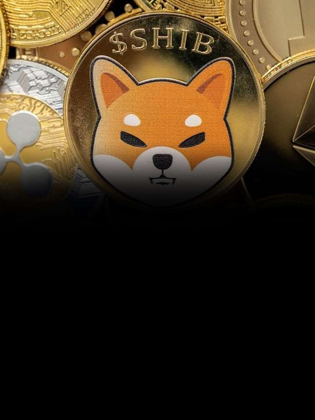 Shiba Inu (SHIB) price set by financial analysts for 2025