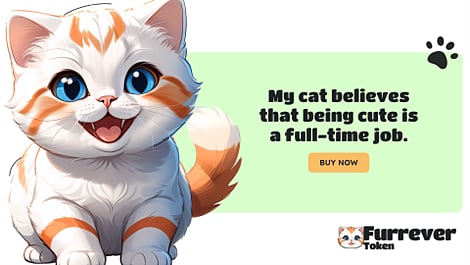Furrever Token 