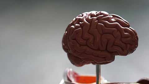 NIA Cognitive Aging Studies