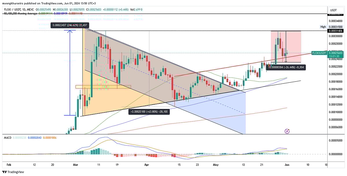 FLOKI Price Analysis: FLOKI Records Gains In May and Finds Solid Support  After Correction - Will Bulls Still Rule In June?