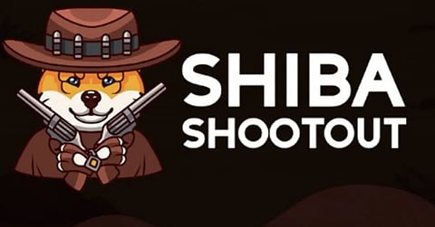 Shiba Shootout 