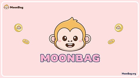 Get Ready for Increased Liquidity with MoonBag Crypto, During Zebec Network Solving Financial Issue and Polygon Whale Activity