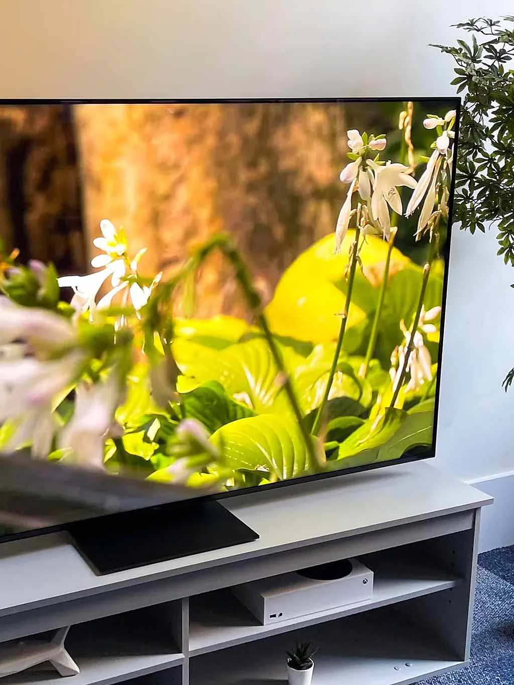 Take advantage of these exclusive deals available for a limited time only, perfect for upgrading your home setup.

