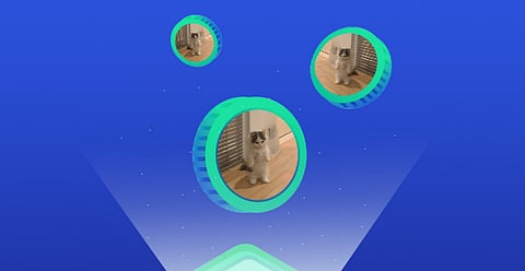 MICHI Price Prediction