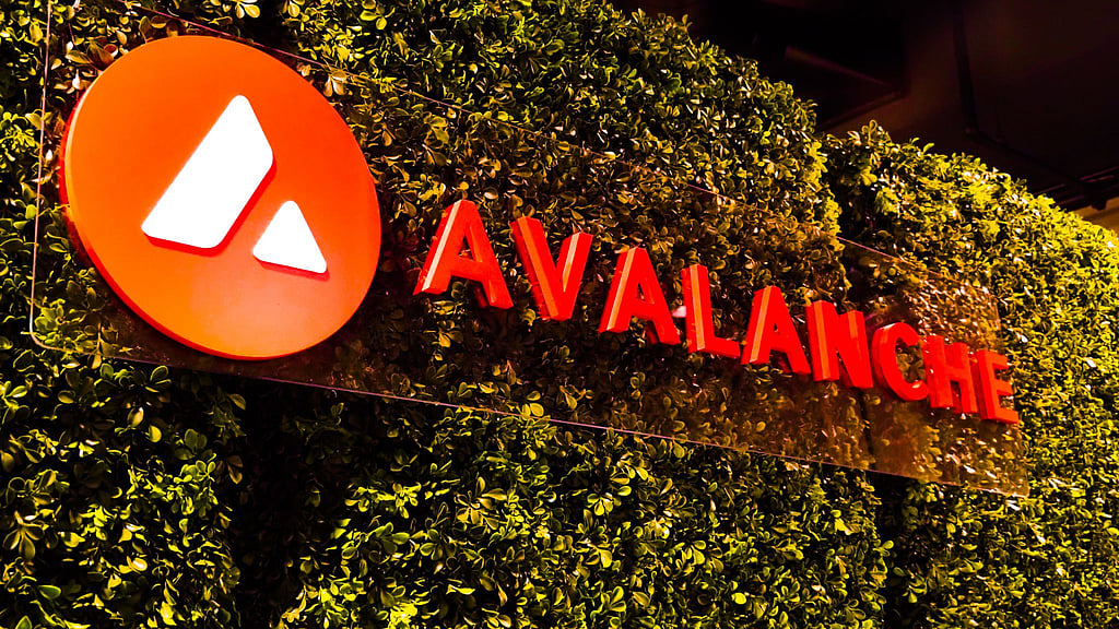 Investing in 2025 How Zig Network (ZIG) Outshines Avalanche (AVAX) and