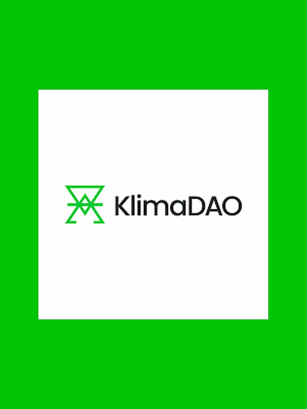 Top Carbon Crypto Companies in 2024