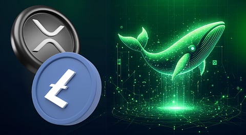 This New Presale Token is Drawing in Ripple (XRP) and Litecoin (LTC) Whales, Here’s Why