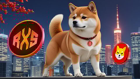 Shiba Inu (SHIB) Price Set to Rise 9000% in the Next 6 Months,