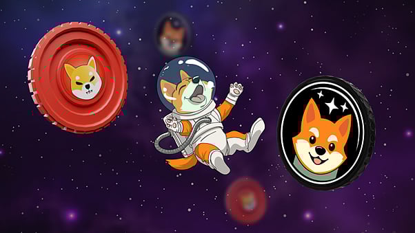 Shiba Inu Price Prediction Will SHIB Surge 300 Amid Bullish