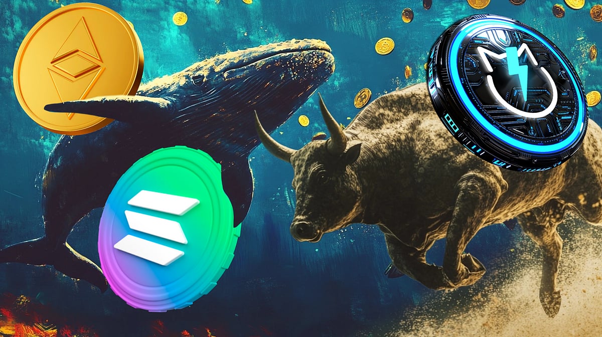 Whale Alert: Are Solana, JetBolt, and Ethereum About to Explode in the Bull  Run?