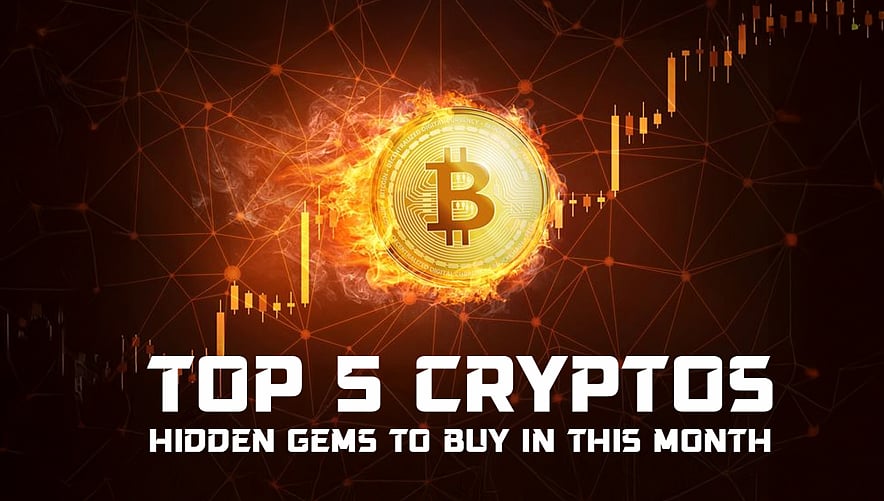5 Best Crypto to Buy Right Now in november 28th 2024