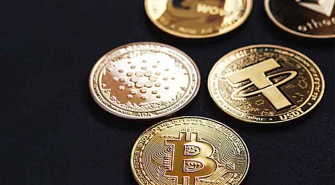 Best Cryptos To Buy In December 2024