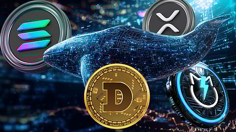 How Crypto Whales Are Winning Big With Solana, XRP, and Dogecoin as JetBolt Surges