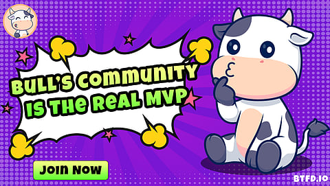 Best Meme Coins to Invest in for Long Term