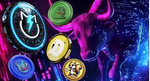 Top Meme Coins for the Crypto Bull Run 
