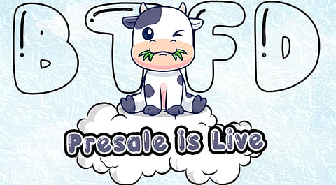 BTFD Coin, Shiba Inu, and Floki Inu Show Strong Potential As The Best Meme Coins to Buy Now