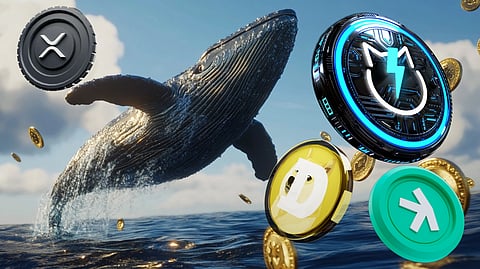 Why Crypto Whales are Rushing to Buy Dogecoin, XRP, JetBolt, and Kaspa Before 2025