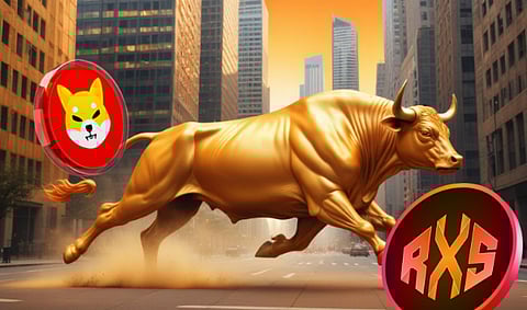 Shiba Inu (SHIB) Won’t Repeat Its 2021 Bull Run Mania, But Insiders Have An Idea Which Coin Will Recreate It in 2025