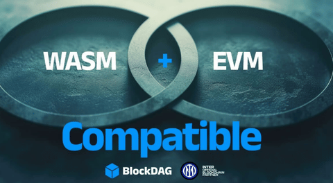 WASM & EVM Compatibility Back BlockDAG’s