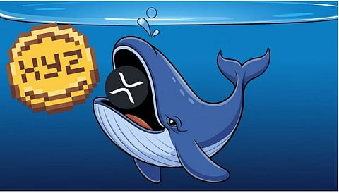 Massive XRP Price Prediction: $140M Whale Says XRP