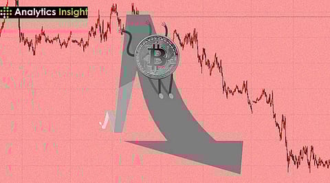 Crypto Crashes: Exposing Vulnerabilities in Decentralized Finance 