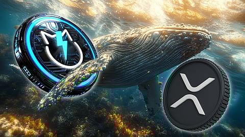 XRP Price Prediction: Can XRP Reach $5 This Altseason as Jetbolt Sparks Crypto Whales' Interest