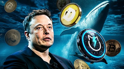 Dogecoin Price Prediction: Can Dogecoin