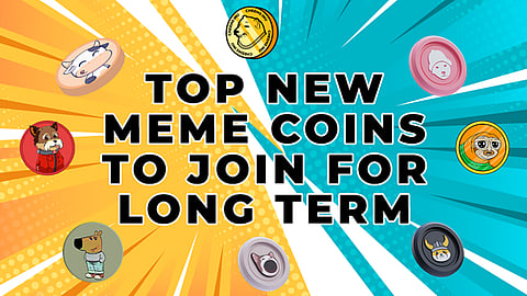 The 3 Top New Meme Coins to Invest in for Long Term Gains