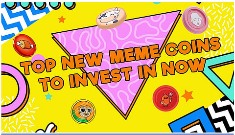 Top 10 Crypto Picks for 2025: Your Best Bets to Win Big with Meme Coins 