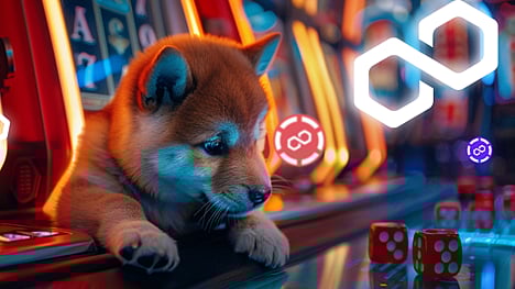 Top Crypto Coins to Consider Now: Dogecoin, Polkadot, & an Incoming Gaming Giant Up Over 370%
