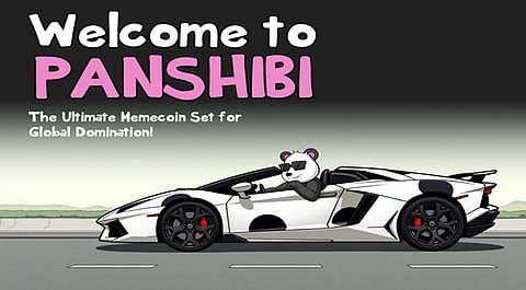 Panshibi Plans to Raise $10m In Under 60 Days With Its New Presale Event