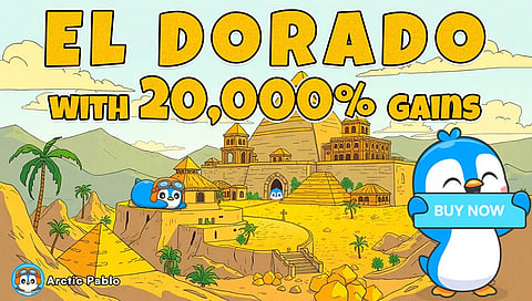 Arctic Pablo Smashes Presale Records While Shiba 