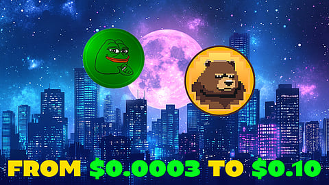 Is This $0.0003 Meme Coin the Next PEPE? Experts Predict $0.10 by 2025!