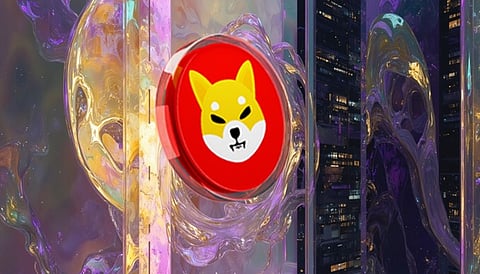 These 9 Coins Will Be the Biggest Gainers by the End of 2025, Like Shiba Inu (SHIB) in 2021