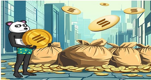 Best Meme Coin Of The Year: Panshibi Is Rallied