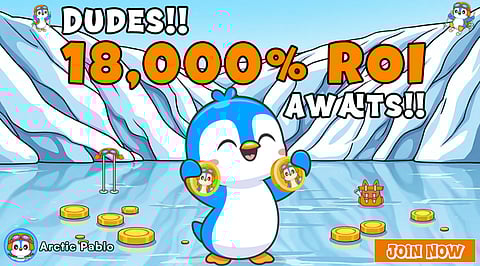 Arctic Pablo Takes the Lead Among Best New Meme Coins to Buy for 2025