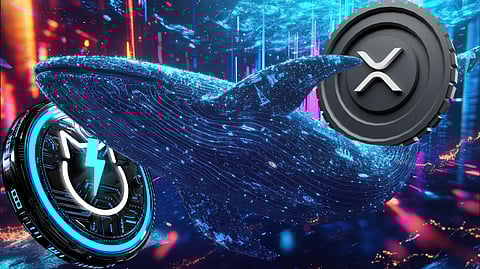 XRP Price Prediction: Can XRP Reach $5 As Crypto 