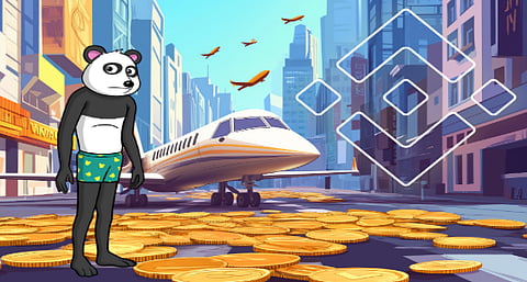 It's Just A Matter Of Time Until Binance or Coinbase Lists Panshibi And The Coin Sees 100x