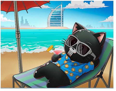 Crypto Market Dip: Are Presales Like Punisher