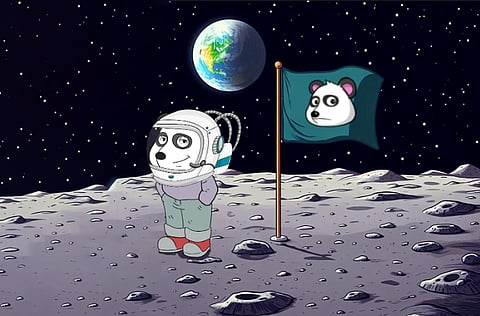 Why Shiba Inu Could Fall Over 20% In February Alone If This Happens. What's The Latest Crypto Hype About Panshibi?