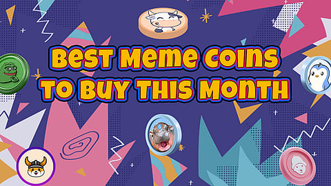most popular meme coin presales in February