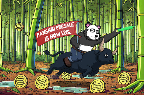 How Is Panshibi Fending Off All Other Meme Coins Globally & Is This Presale Looking More and More Like A 1000x Presale Tip