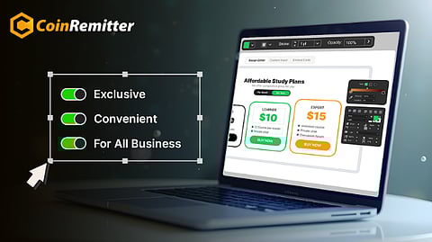 Coinremitter Announces “Pricing Widget”, Setting a New Benchmark With a Simple Crypto Payment Solution